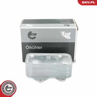 Esen SKV ÖLküHler Passend FüR Audi A8 4E2 4E8 4.2 Quattro 4E_ 3.7 S8 A6