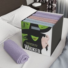 Wicked musical artwork Felt Storage Box Broadway witch print