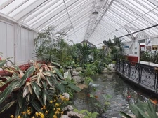 Photo A3 Fishpond, Queen's Park Glasshouse Rutherglen Care and condition c2013