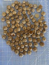 Lot A1 MIXED SIZES OF 100 REAL ACORN CAPS FOR FALL  HOLIDAY CRAFTS  DECORATING