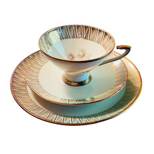 Heinrich Winterling / Marktleuthen Sammeltasse gold Gedeck Teller 19,1 cm