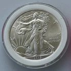 2013 American Silver Eagle 1 Troy Oz .999 Silver