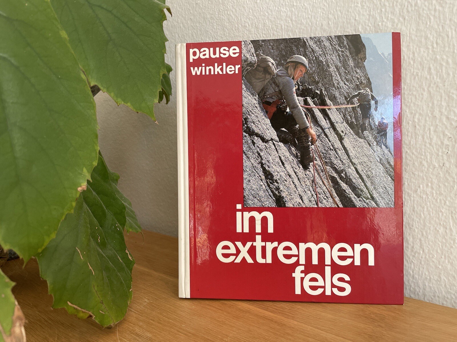 Bild 1 von 12