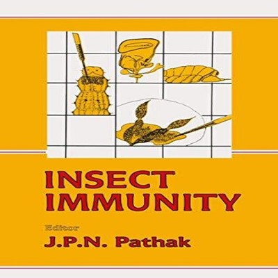Insect Immunity Springer Nature B.V. Paperback Springer Nature B.
