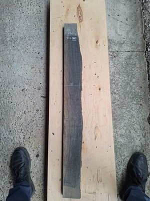 Mooreiche 19x90x1060mm aus den Donaumoos 