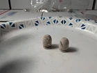 Dug Civil War era William  type 3 cleaner bullets