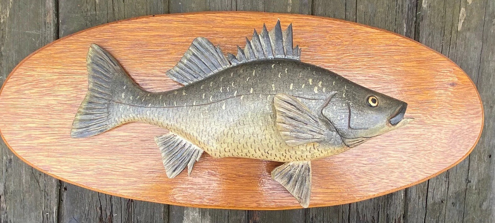 Rare Maine White Perch Carved Lawrence Irvine Fish Winthrop Me Fishing eBay