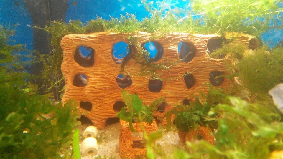 Aquarium decoration. Ceramic cave house Handmade fish tank decor hideout shrimp - Image 3 of 4