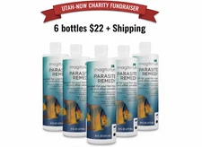 6 Pack  IMAGITARIUM Parasite Remedy , your aquatic companion's key to thriving