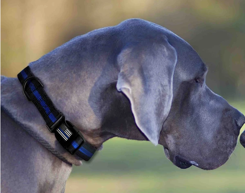 Blue Line Hundeleine 6' - großes Halsband - Polizei - Back the Blue - Bild 4 von 7