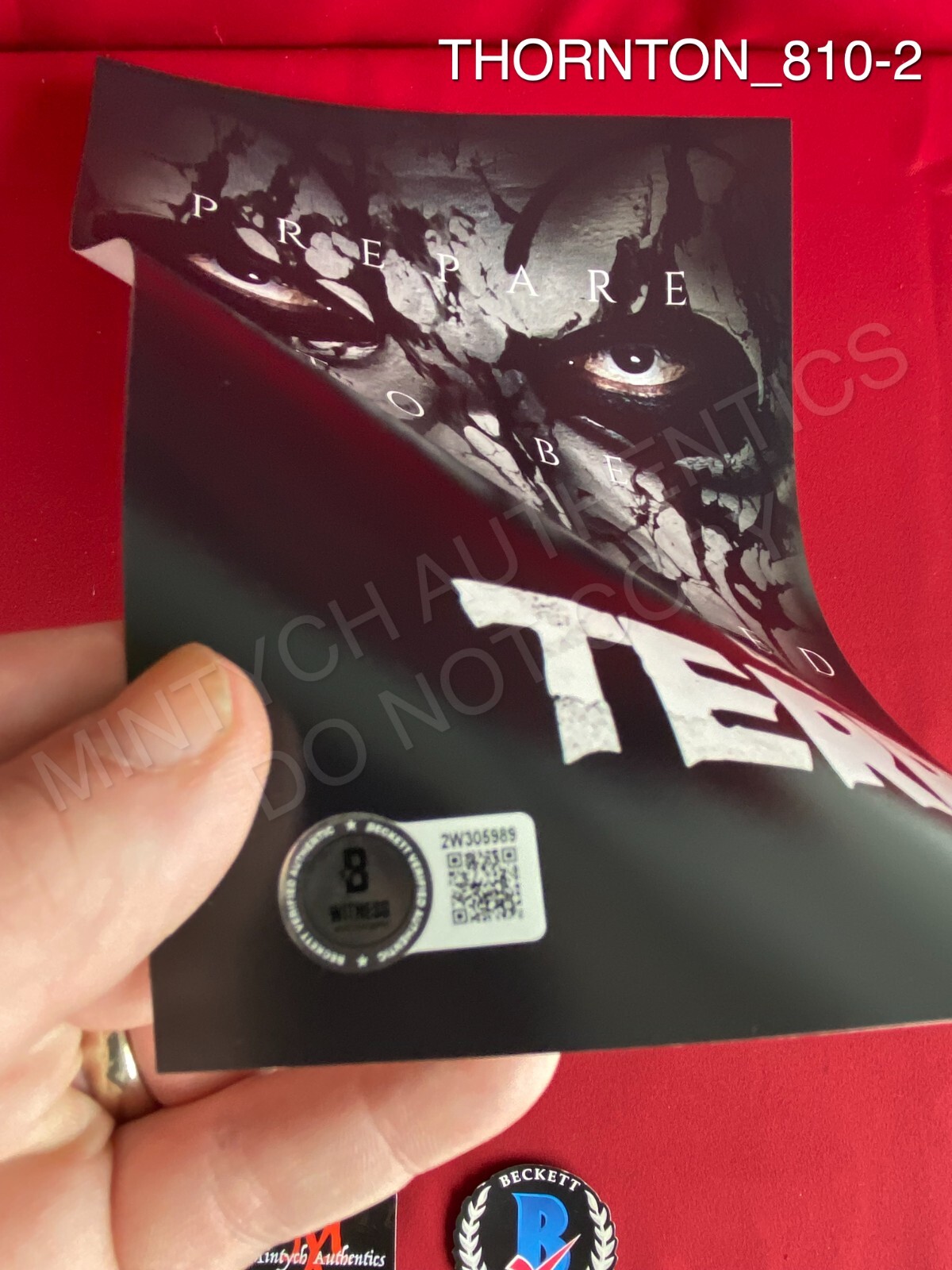 Terrerifier 3 David Howard Thornton Terrifier 3 signed 11x17 photo Art the Clown ...