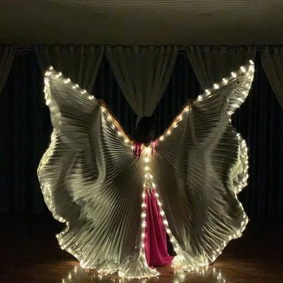 Belly Dance LED Wings Both Sides Performance Belly Dancing Costumes Shows