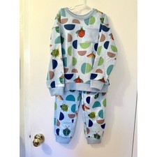 Anise Ava NWT Kids Kelsey Nature Art Bugs Sweatshirt Jogger Set