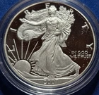 A 2007 W Proof $1 American Silver Eagle In Capsule