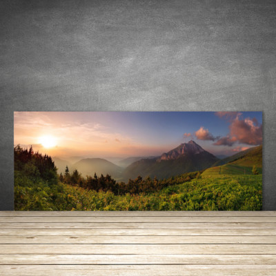 Küchenrückwand aus Glas ESG Spritzschutz 125x50cm Gebirge Wald Natur