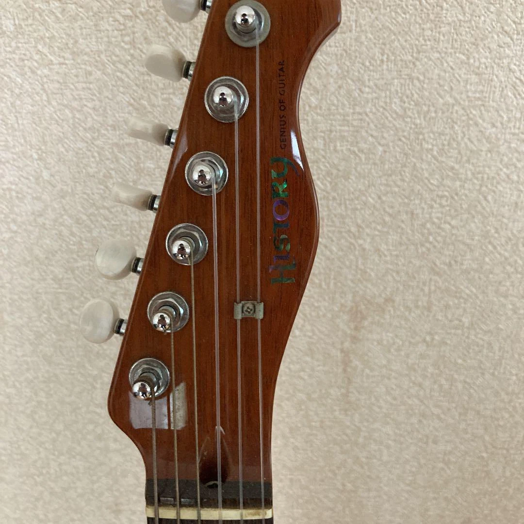 Acoustic Electric Guitar History HEG-120 ELEGANT | eBay