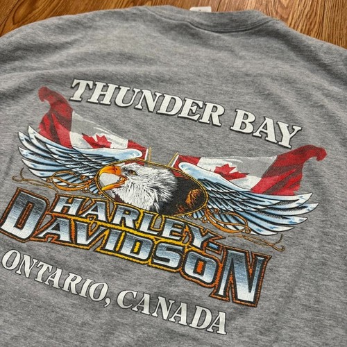 Camicia Vintage 2002 Harley Davidson Manica Lunga Fiamma Canada Grigio Taglia XL - Foto 4 di 7