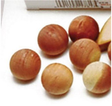 مقتنيات 4x Cedar