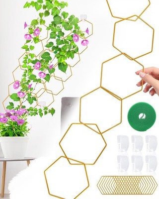 18 Pcs Chain Trellis for Climbing Plants, Potted Houseplant Accessories for Hoya
