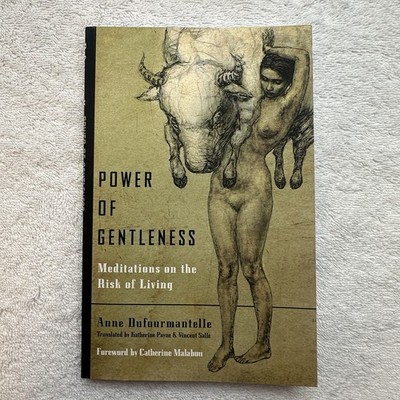 Power Of Gentleness: Meditations On The Risk Of Living First Edition 1st Editon