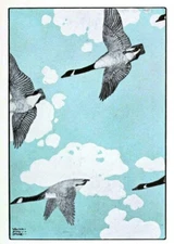 Geese – Walter King Stone 1906 American Arts & Crafts Wildlife Art Print Decor