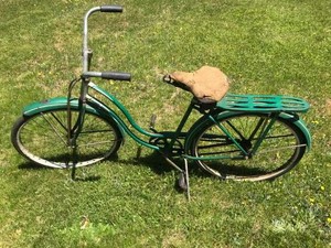 schwinn hornet cruiser