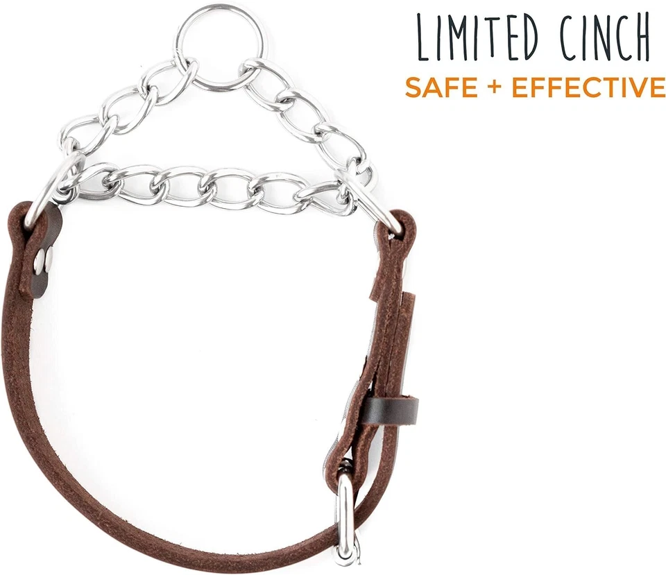 Coleira de cachorro Martingale - Design sem puxar - Corrente de aço inoxidável - Cinco limitado... - Imagem 3 de 4