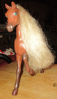 Hard Plastic Horse — photo 2
