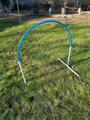 Latest Style Baseless Dog Agility Hoopers Hoops Inc Ground Pegs - Set of 9