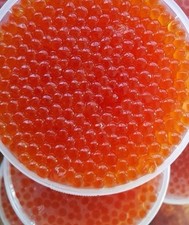4x 1lb Fresh Chum Keta Caviar Homemade No Additives Premium Quality Free Ship