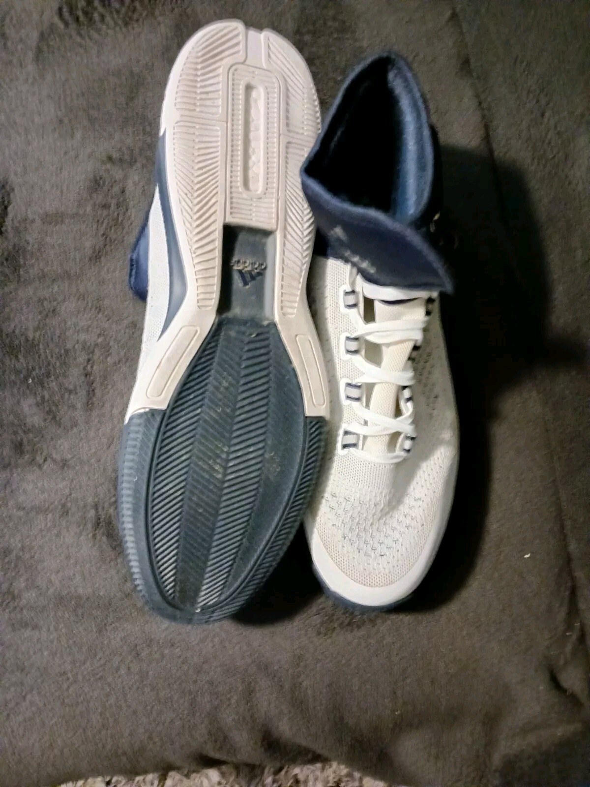 Picture 4 of 5
