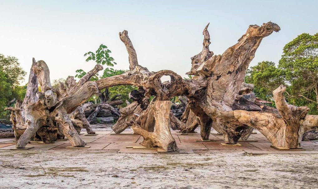 Thumbnail - Roots | Ai Weiwei | 2019