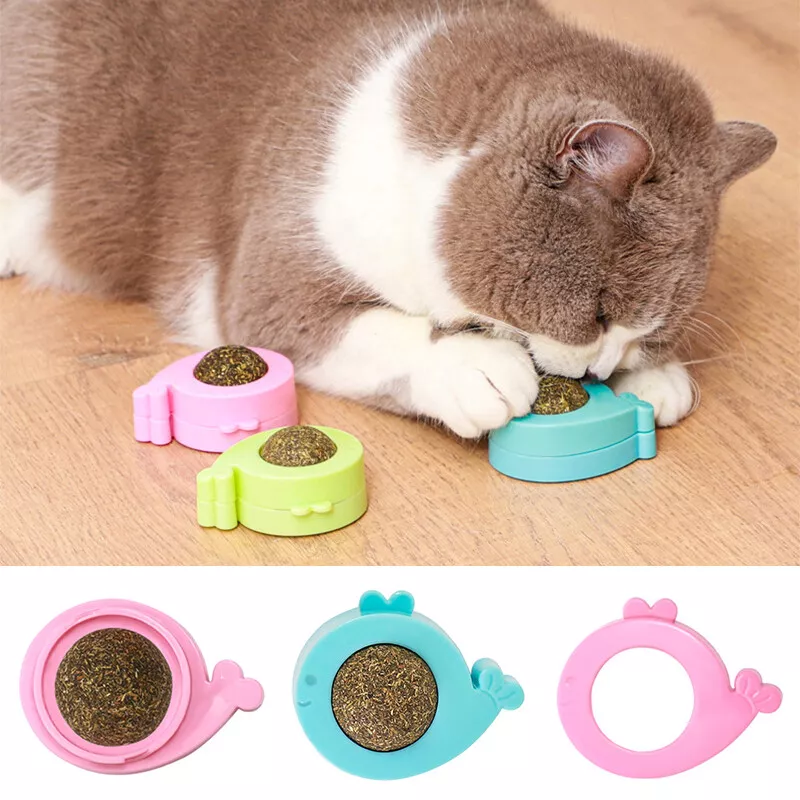 Wall toys for clearance cats