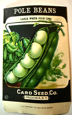 Vintage Seed Packet Large White Pole Beans c1920-30s Card Seed Co. NOS A3