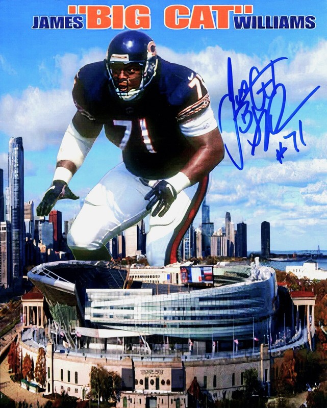 JAMES "Big Cat" Williams signed photo Chicago Bears Custom Shot (c)