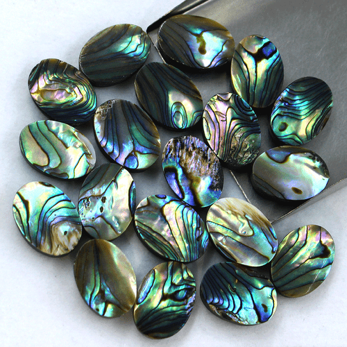 Lote de 19 piedras preciosas calibradas cabujón ovalado de grado superior de abulón natural de 18 mm x 13 mm - Imagen 8 de 15