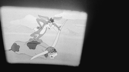 Them's My Boys - 16mm film black & white sound - Bucky and Pepito cartoon - Picture 11 of 13