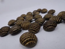 Vintage Half-Globe Fine Shank Coat Buttons Made in Germany Lot of 8 and 80 B50