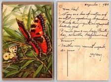 1940 Vintage Butterfly Postcard Printed in Holland Nature Art Posted