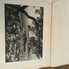 Photo 3 sur 4
