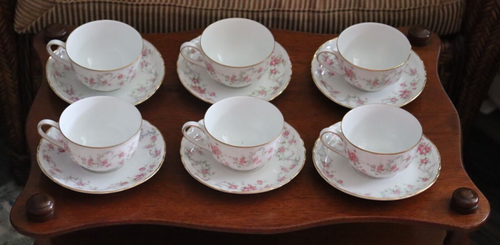 6 Vintage Hutschenreuther Richelieu Cup and Saucer Plates 7658 Pink Roses