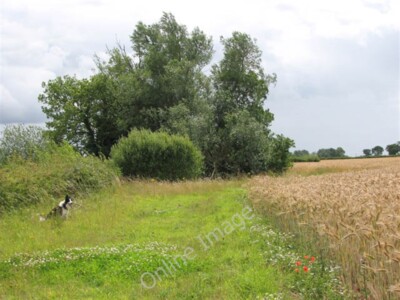 Foto 6x4 Weg zwischen zwei Feldern Tacolneston Die Bäume auf der Rückseite gesehen c2009