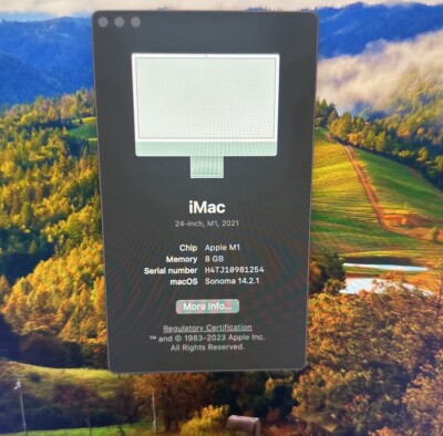 iMac Green 24” | eBay