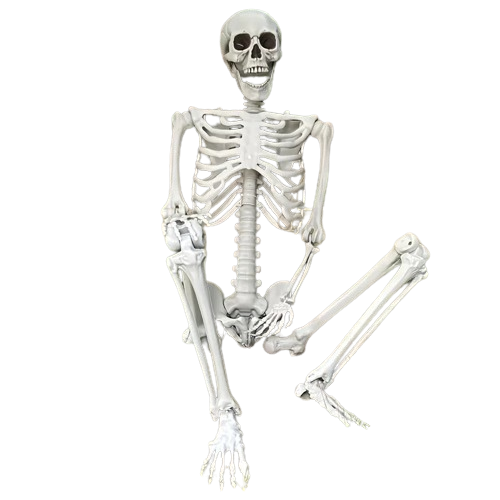 NNETM Faux Skeleton Sculpture: Spooky Halloween Decor - Bild 1 von 9