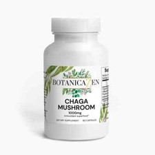 Chaga Mushroom