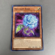 Yugioh! Brilliant Rose POTE-EN021 Power Of The Elements Common
