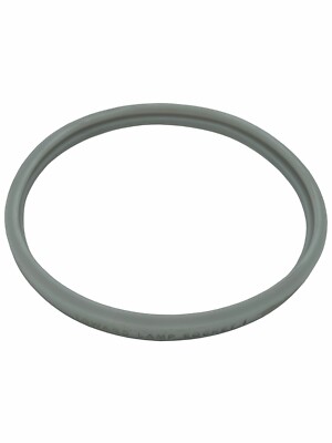 Pentair 614516 Hatteras Dichtung Für Pool- & Spa-Beleuchtung – Ersatz-Dichtring Für Pool Star Leuchten