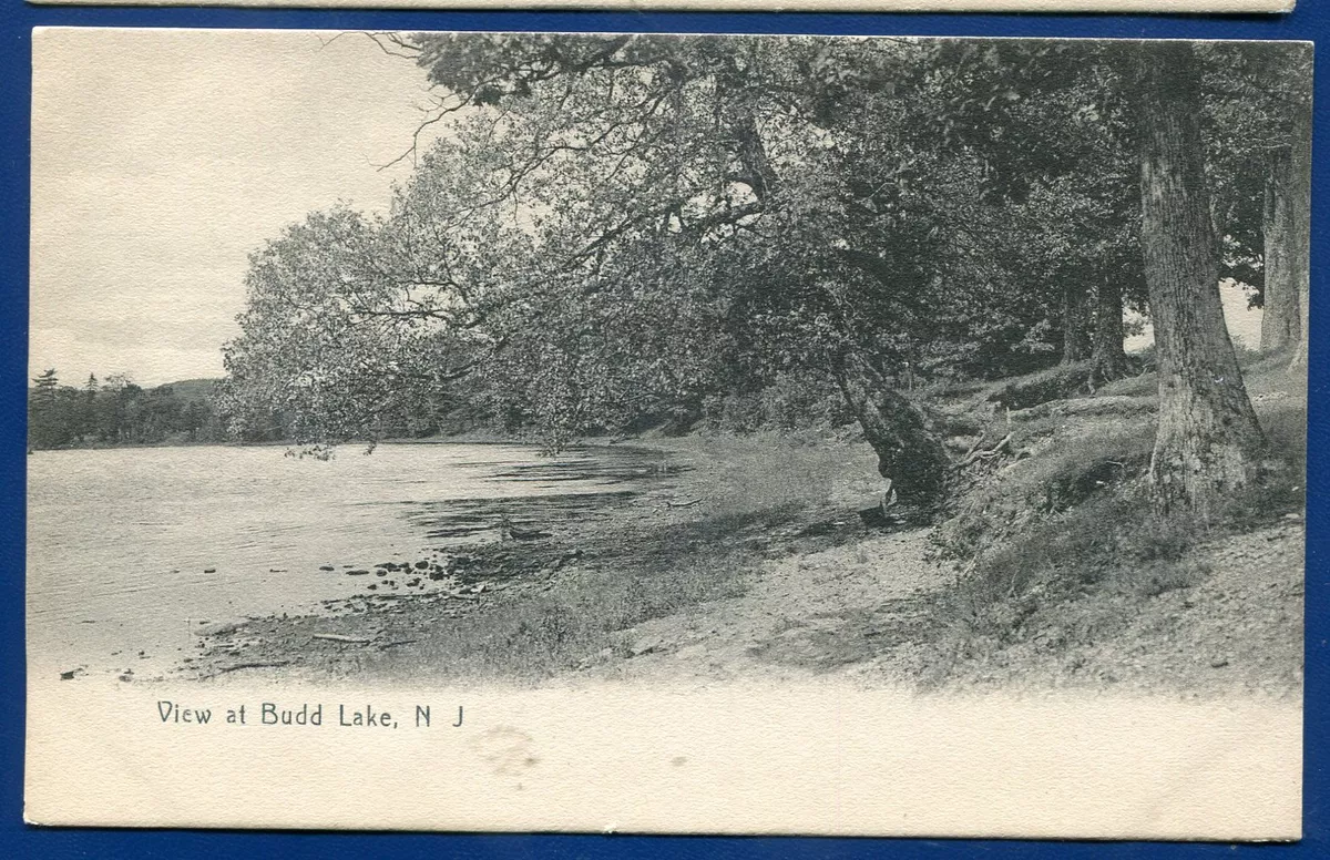 View at Budd Lake New Jersey nj old litho postcard #3 | eBay