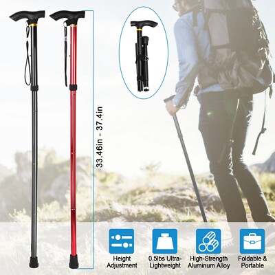 ebay walking poles