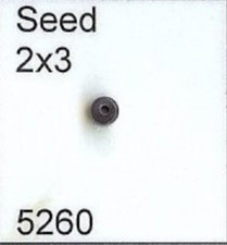 5260 Seed 3x2mm Wampum Bead Quahog Face Drilled